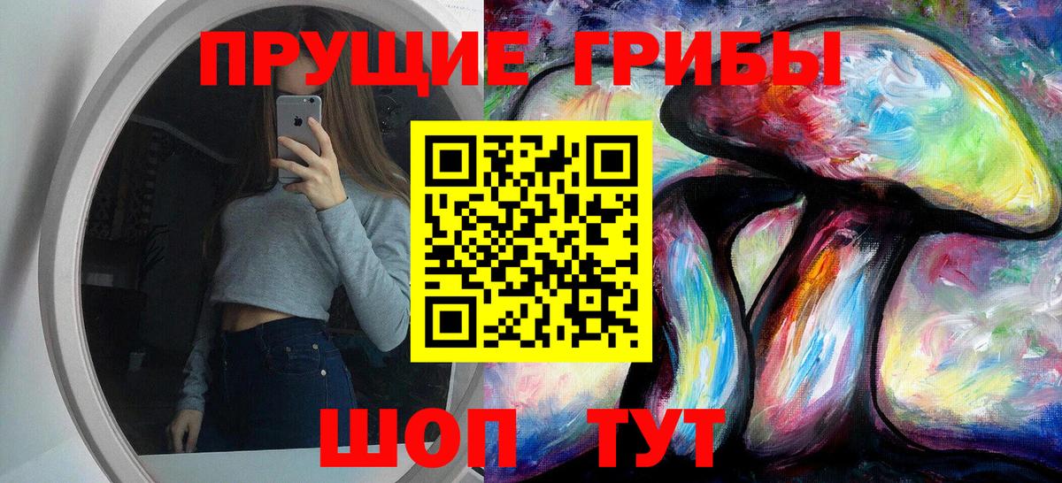 Галлюциногенные грибы GOLDEN TEACHER Туапсе