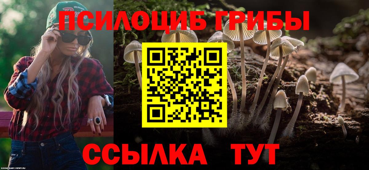 Галлюциногенные грибы GOLDEN TEACHER  Вход с VPN  Туапсе 